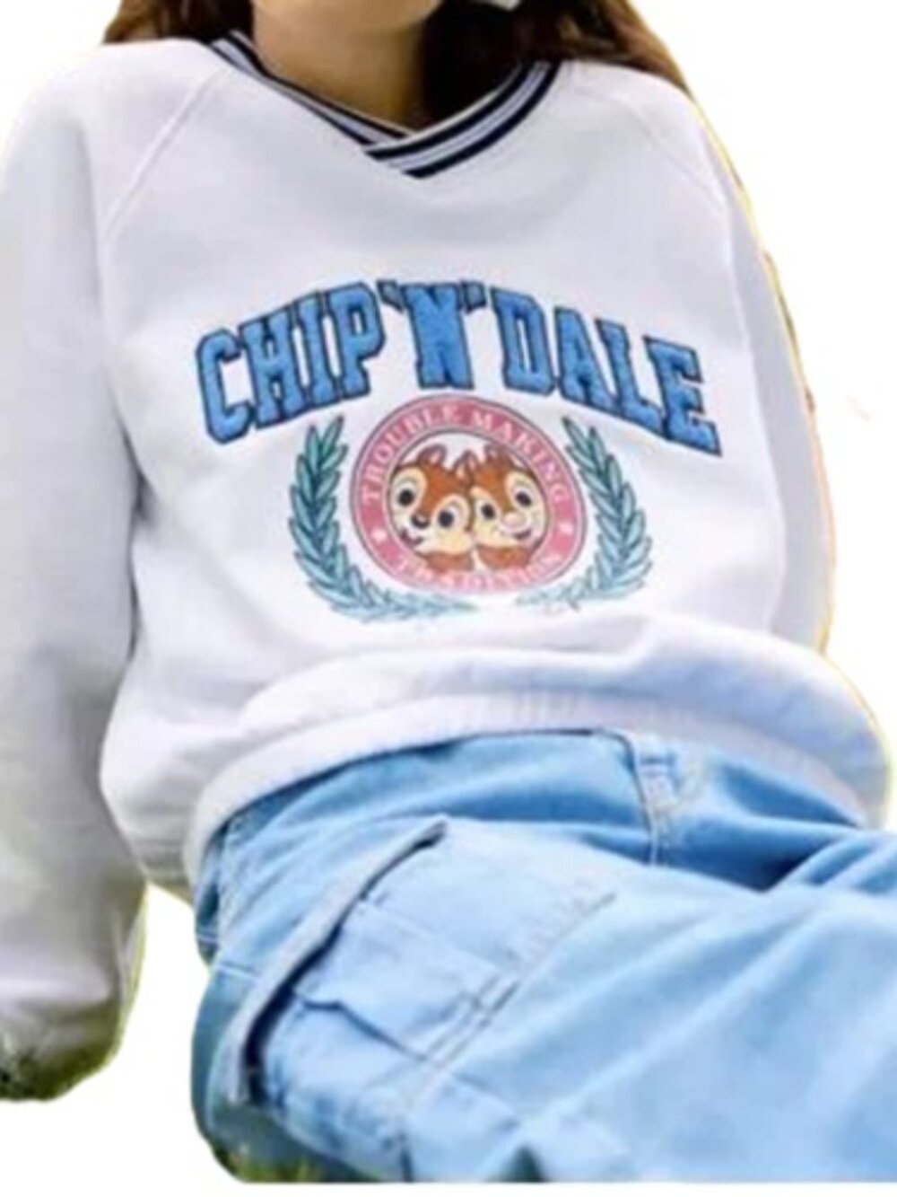 DISNEY PARKS IVORY-GRAY CHIP N DALE CHENILLE GRAPHIC CROPPED SWEATSHIRT SZ:L NWT